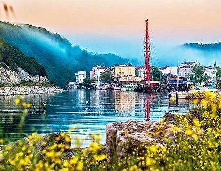 Palmiye