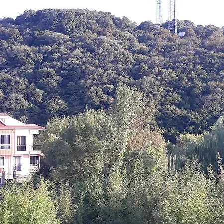 Palmiye *