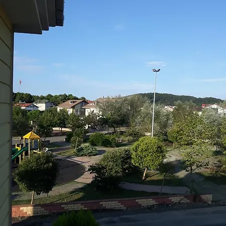Palmiye * アグヴァ